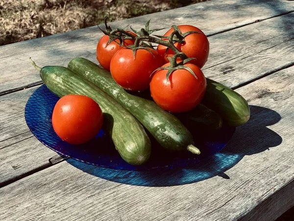 Tomates Vermelhos Pepinos Uma Chapa Azul Uma Mesa Madeira Cinza — Fotografia de Stock