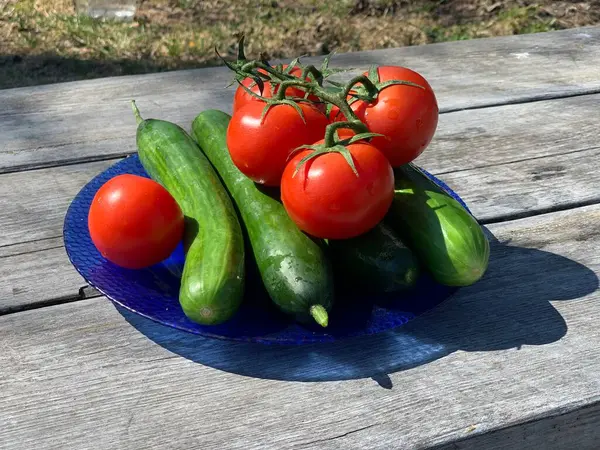 Tomates Pepinos Rojos Frescos Plato Azul Sobre Una Mesa Madera —  Fotos de Stock