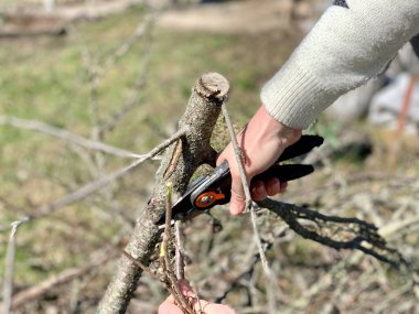 Kız bahar bahçesinde kuru çalı dallarını budama makinesiyle kesiyor. Kadının elleri kapalı..