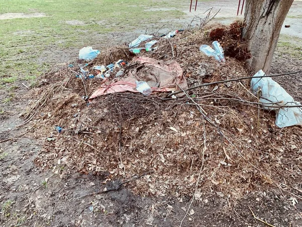 Rubbish. Ecological waste. A pile of fallen leaves and plastic bottles. Garbage in yellow leaves, pollution of nature.