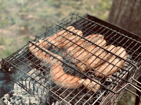 烤烤肉香肠 熟食无味的烧烤香肠 — 图库照片