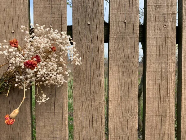 Flores Secas Blanco Anaranjadas Sobre Fondo Una Valla Madera Copiar —  Fotos de Stock