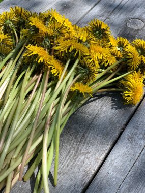 Tahta bir yüzey üzerinde güzel sarı karahindibalar..