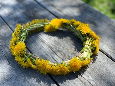 Gri ahşap yüzeyde karahindiba çelengi.