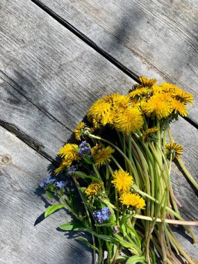 Ahşap arka planda parlak sarı karahindibalar. Uzayı kopyala Metnin için yer.