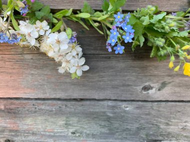 Ahşap bir arka planda parlak mavi unutma benekleri ve beyaz çiçekler. Uzayı kopyala Metnin için yer.