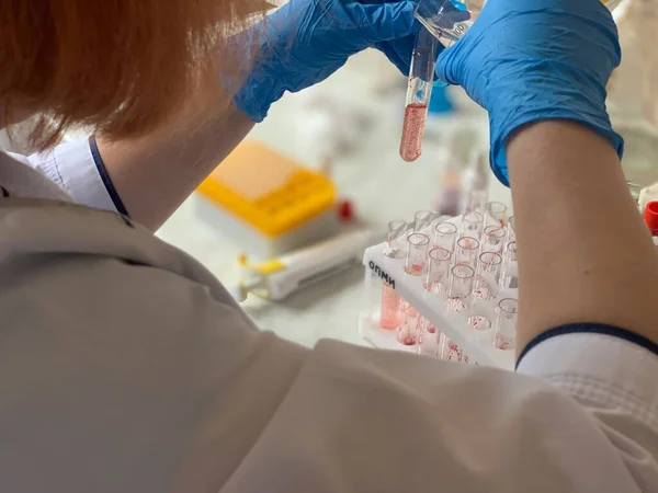 科学者は血液サンプルの実験室試験を行う 血液検査管 — ストック写真
