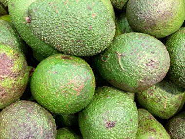 Yeşil avokado kapanıyor. Duvar kağıdındaki doğanın dokusu.