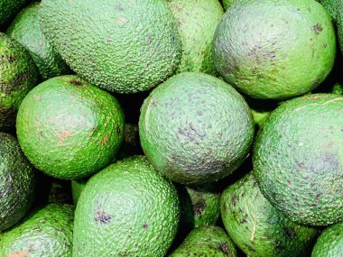 Yeşil avokado kapanıyor. Duvar kağıdındaki doğanın dokusu.