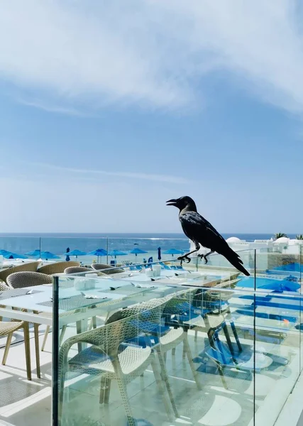 Bela Vista Mar Praia Partir Janela Dia Ensolarado Verão — Fotografia de Stock