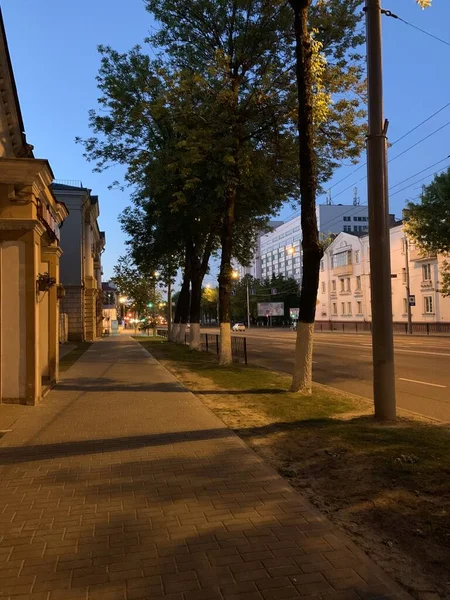 Miejska Ulica Wieczorem Drzewami — Zdjęcie stockowe