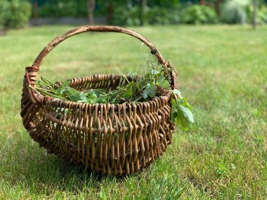 A wooden basket with grass stands on the ground.