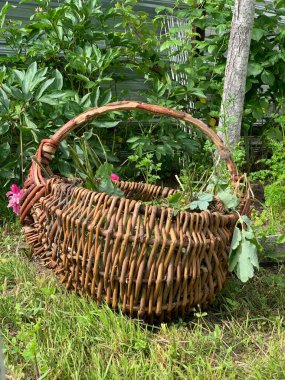 A wooden basket with grass stands on the ground.