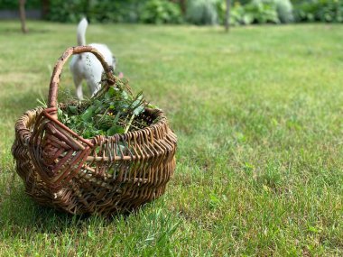 A wooden basket with grass stands on the ground.