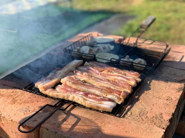 炭火烤着扁平可口的猪肉 供夏季野餐和聚会用 — 图库照片