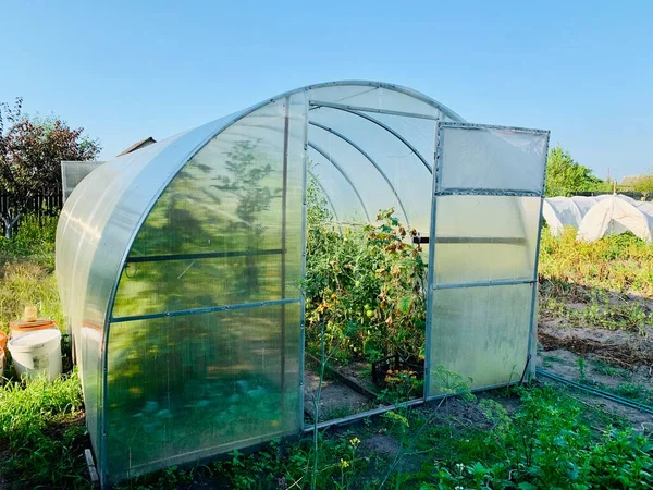 Plastikgewächshaus Garten — Stockfoto