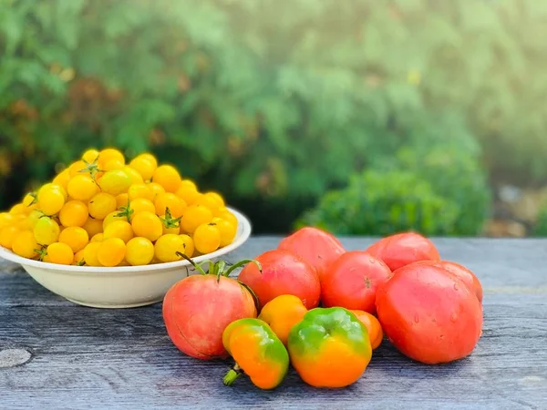 Tomates Rojos Amarillos Ecológicos Fondos Alimentarios —  Fotos de Stock