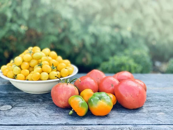 Οργανικές Κόκκινες Και Κίτρινες Ντομάτες — Φωτογραφία Αρχείου