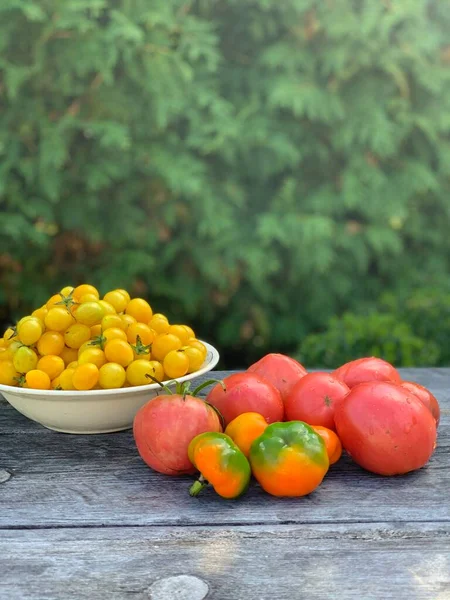 Multi Colored Ripe Tomatoes Wooden Background Vegetarian Concept Cocktail Tomatoes — Stock Photo, Image