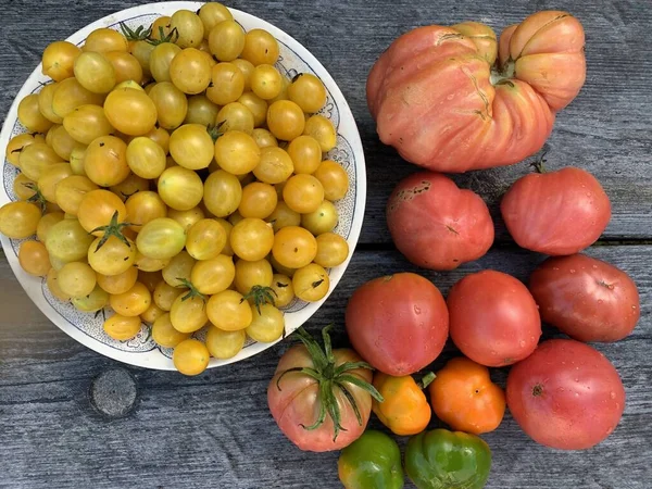 Tomates Rouges Jaunes Biologiques Milieux Alimentaires — Photo