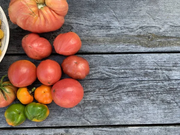 Tomates Maduros Multicolores Sobre Fondo Madera Antecedentes Concepto Vegetariano Lugar —  Fotos de Stock