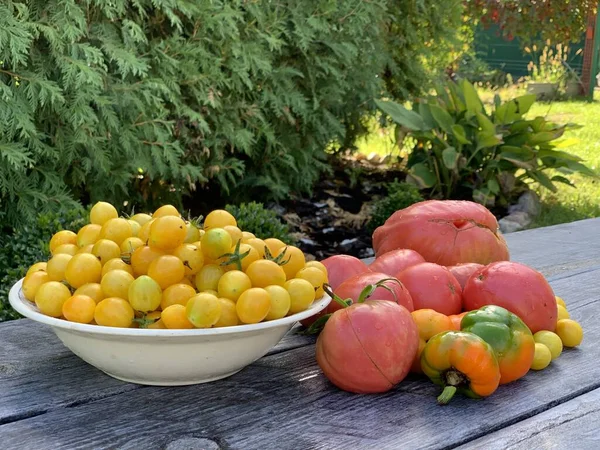 Flerfärgade Mogna Tomater Trä Bakgrund Vegetariskt Koncept Cocktailtomater — Stockfoto