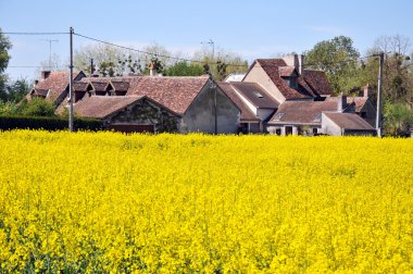 çiçekler, Loire arasında evleri