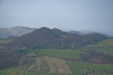 Pinot noir üzüm Oltrepo Pavese bulunan