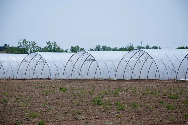 group of new greenhouses that serve to make the vegetables grow