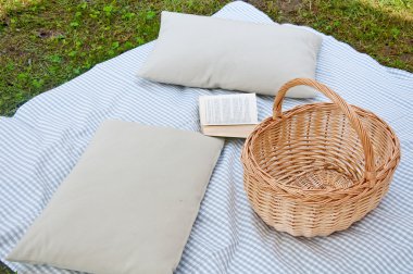 güzel piknik masa örtüsü, yastık, kitap ve gıda baske ile