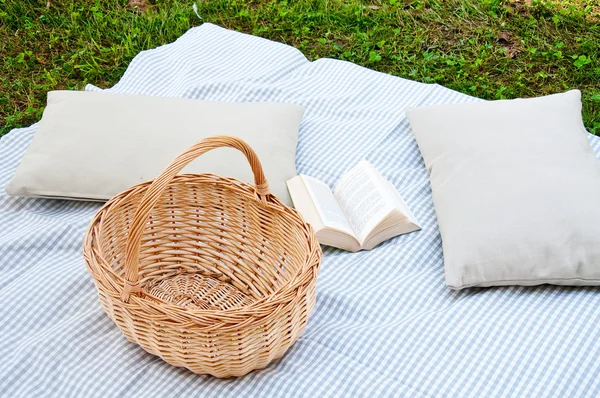 beautiful picnic with tablecloth , pillows , book and food baske