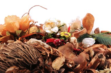 pourri surat