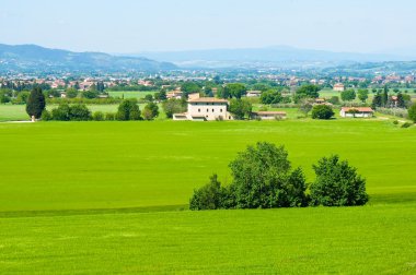 Assisi town yakınındaki Umbrian kırsal