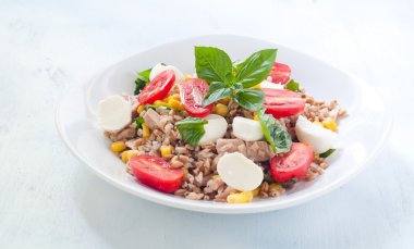 Mozzarella peyniri, domates ve ton balığı ile farro soğuk salata