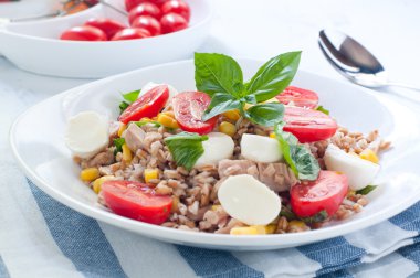 Mozzarella peyniri, domates ve ton balığı ile farro soğuk salata