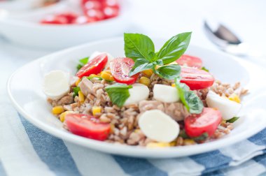 Mozzarella peyniri, domates ve ton balığı ile farro soğuk salata
