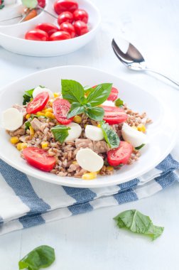 Mozzarella peyniri, domates ve ton balığı ile farro soğuk salata