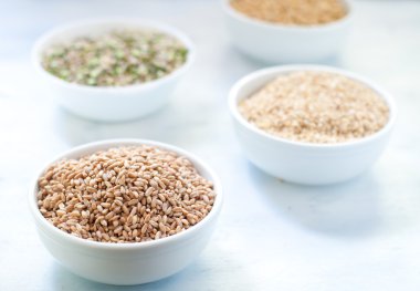 Hububat, arpa, soya, pirinç, darı, yazıldığından