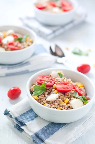 Mozzarella peyniri, domates ve ton balığı ile farro soğuk salata