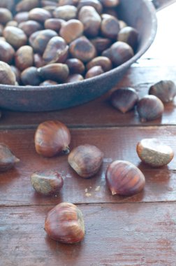 Grup çiğ kestane pişirilmeli hazır