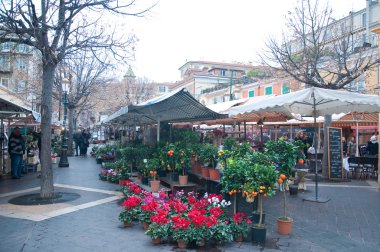 Nice, French Riviera, kış aylarında çiçek pazarı