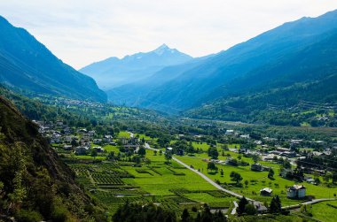 Üzüm bağları ile arka planda dağlar Aosta Vadisi içinde bulunan