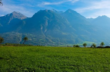 Üzüm bağları ile arka planda dağlar Aosta Vadisi içinde bulunan