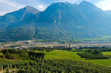 Üzüm bağları ile arka planda dağlar Aosta Vadisi içinde bulunan