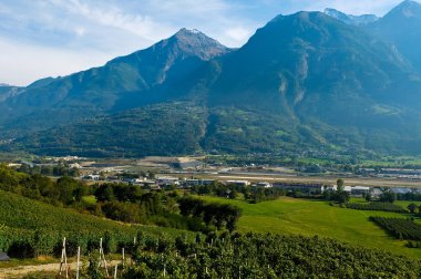 Üzüm bağları ile arka planda dağlar Aosta Vadisi içinde bulunan