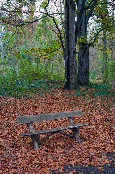 Parkbänk — Stockfoto