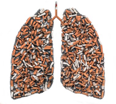Sigara izmaritleri pulmoner dağılımı