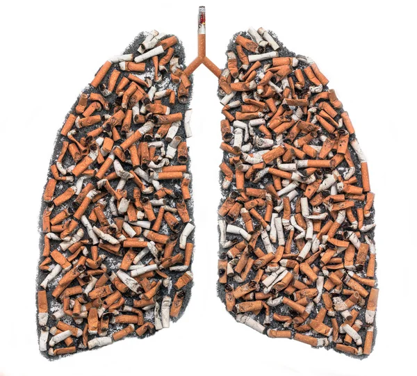 A tüdő kontúr cigarettacsikkek Jogdíjmentes Stock Képek