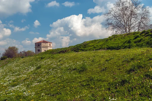 Крепость на лугу — стоковое фото