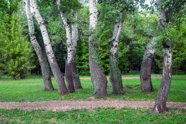Ahşap sarhoş kardeşler